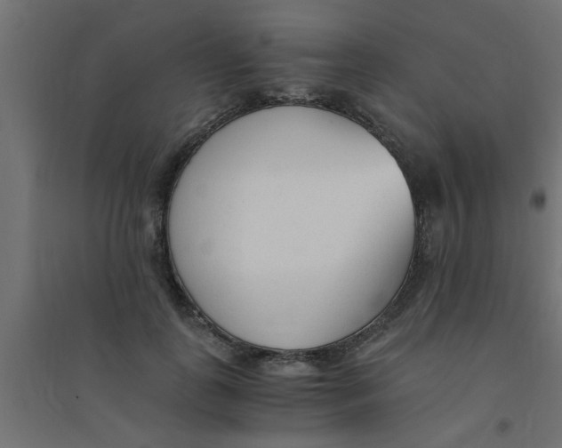 X0000094320747200711241807