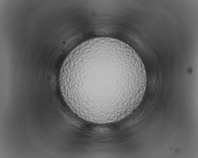 X0000094320749200711241807