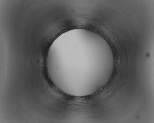 X0000094320750200711241807