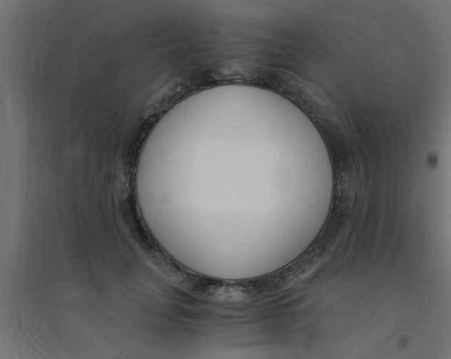 X0000094320751200711241807