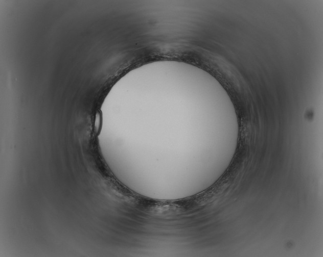 X0000094320752200711241807