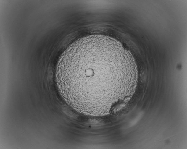 X0000094320753200711241807