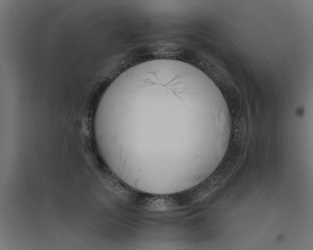 X0000094320755200711241807