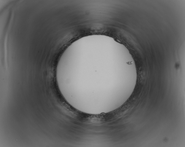 X0000094320756200711241807