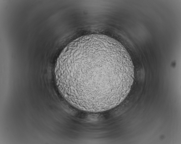 X0000094320757200711241807