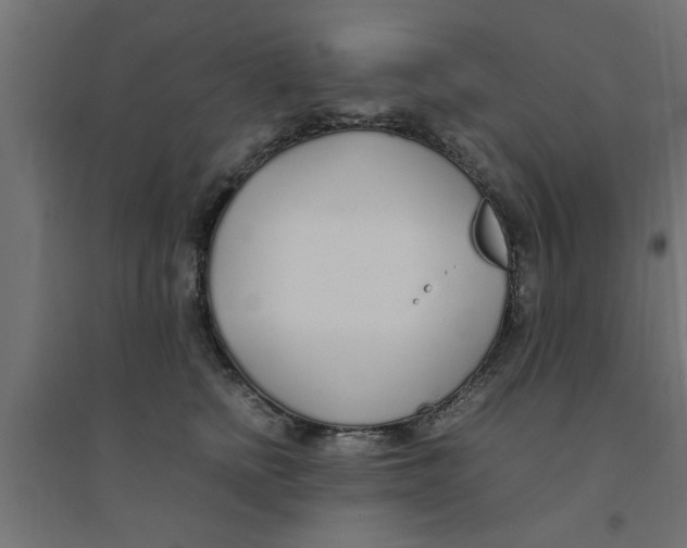 X0000094320758200711241807