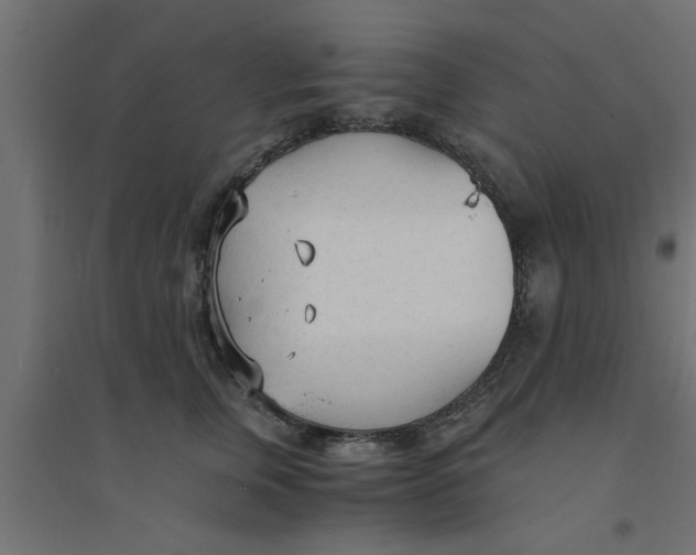 X0000094320759200711241807