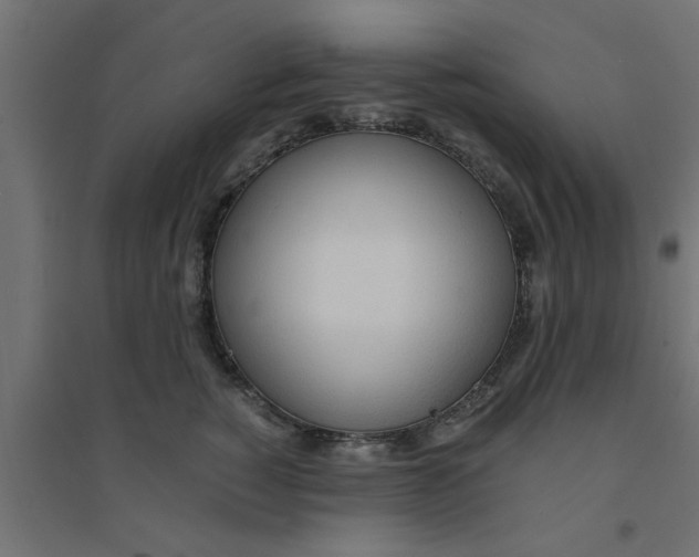X0000094320760200711241807