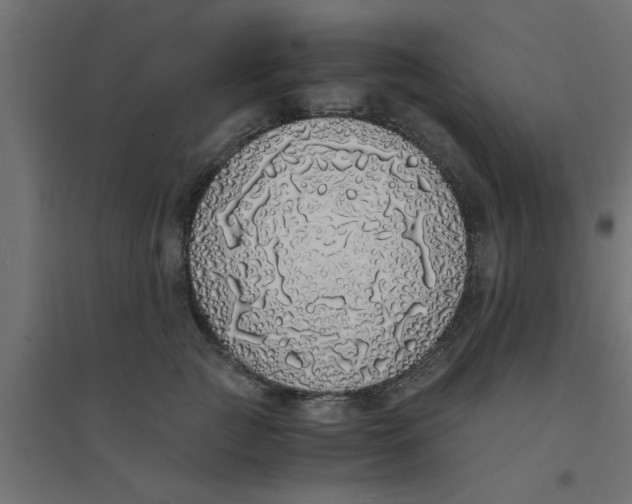 X0000094320761200711241807