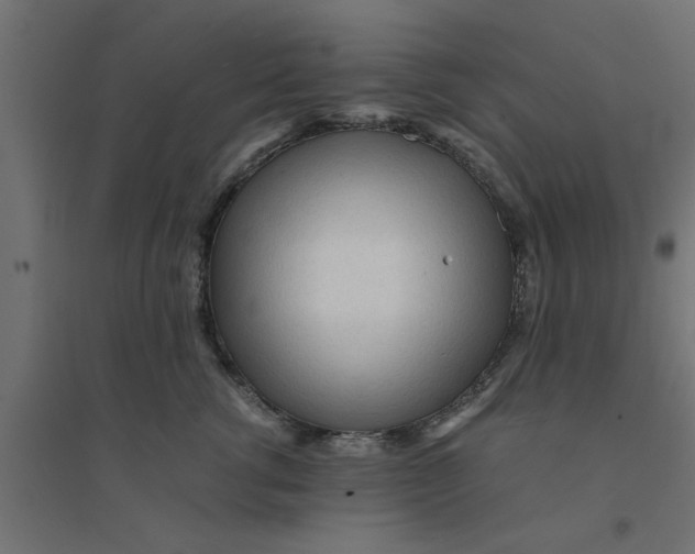 X0000094320762200711241807