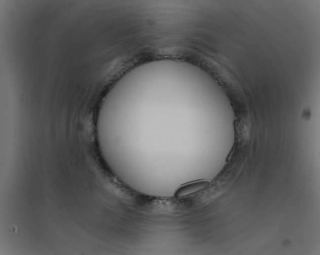 X0000094320764200711241807
