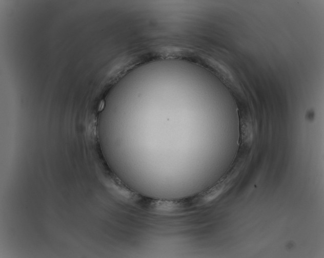 X0000094320766200711241807