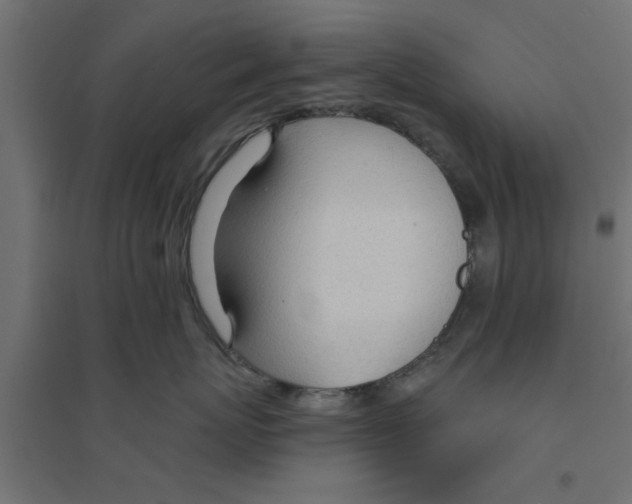 X0000094320767200711241807