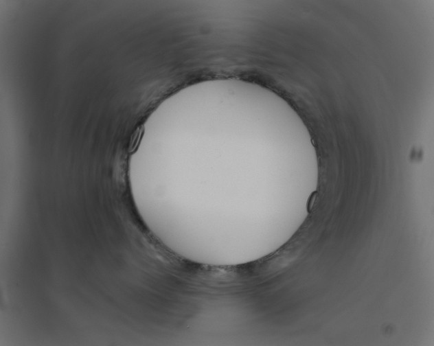 X0000094320768200711241807