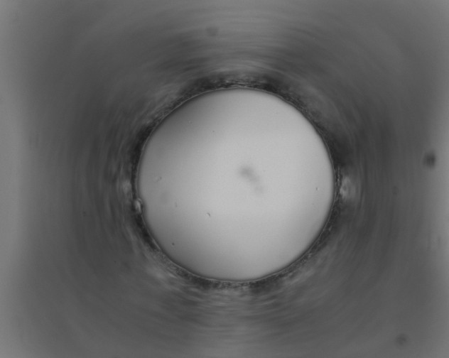 X0000094320771200711241806