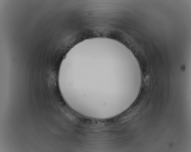 X0000094320772200711241806