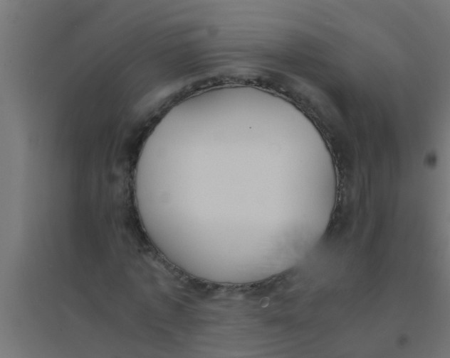X0000094320773200711241806