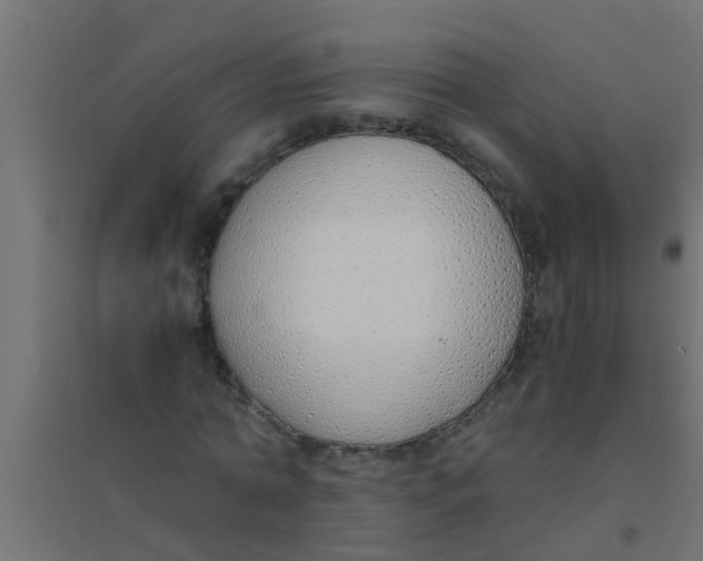 X0000094320774200711241806