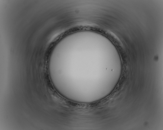 X0000094320775200711241806
