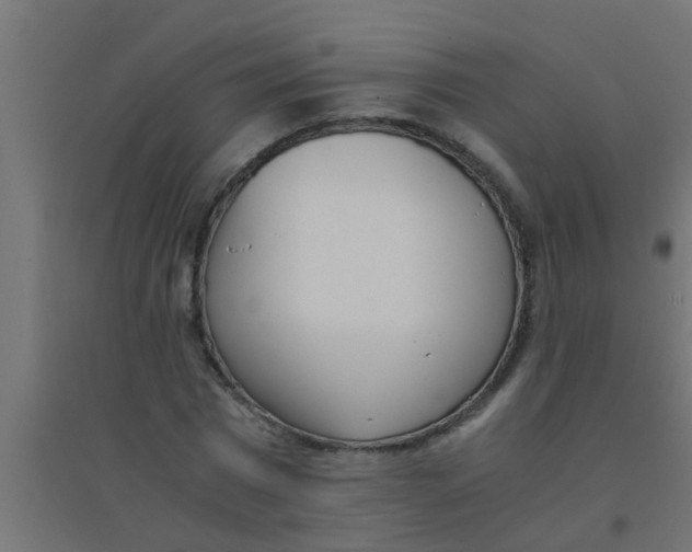X0000094320777200711241806