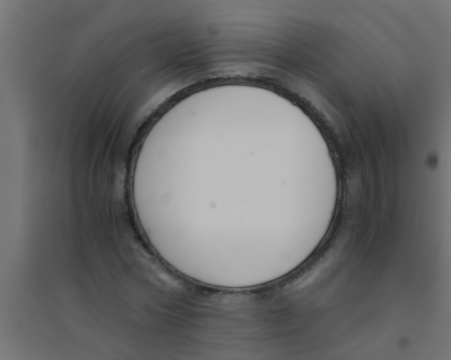X0000094320778200711241806