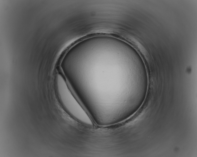 X0000094320779200711241806