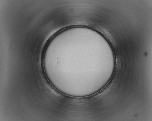 X0000094320780200711241806