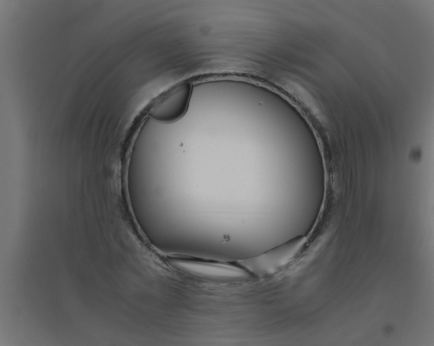 X0000094320781200711241806