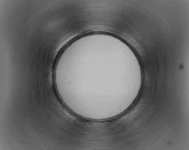 X0000094320782200711241806