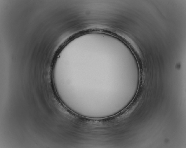 X0000094320783200711241806