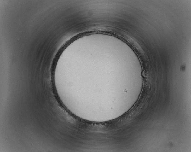 X0000094320784200711241806