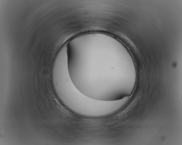 X0000094320785200711241806