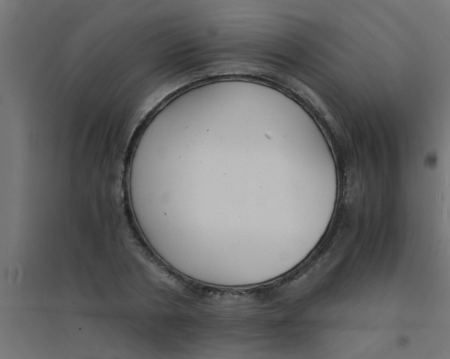 X0000094320786200711241806