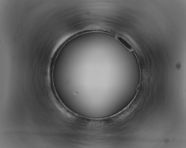 X0000094320788200711241806