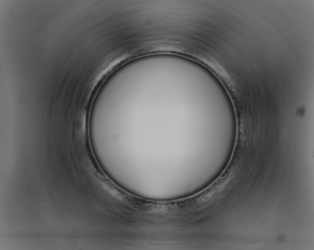 X0000094320790200711241806