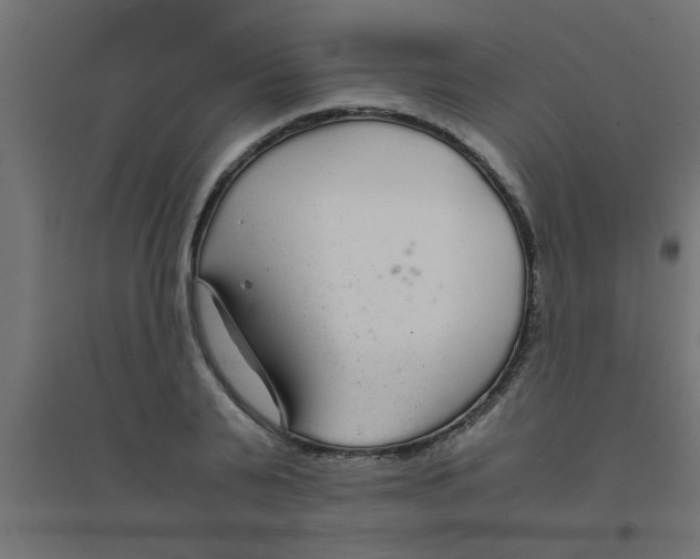 X0000094320791200711241806
