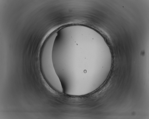 X0000094320792200711241806