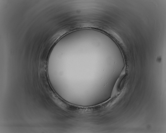 X0000094320793200711241806