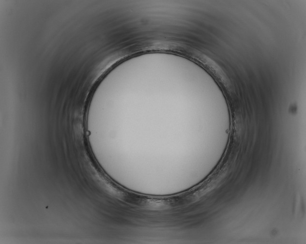 X0000094320794200711241806