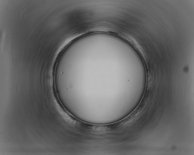 X0000094320795200711241806