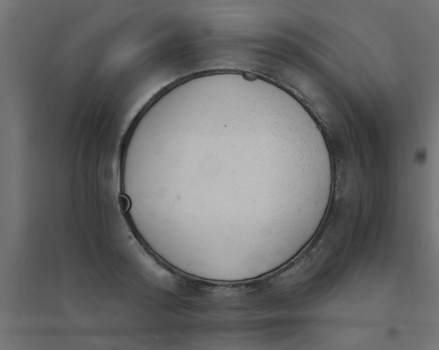 X0000094320796200711241806