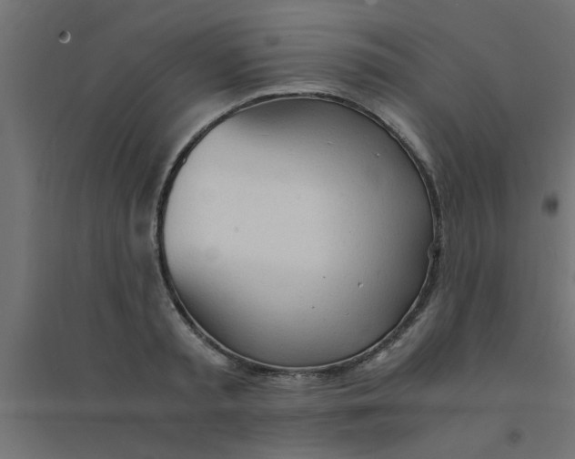 X0000094320797200711241806