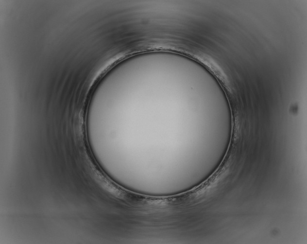 X0000094320798200711241806