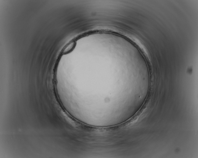 X0000094320799200711241806