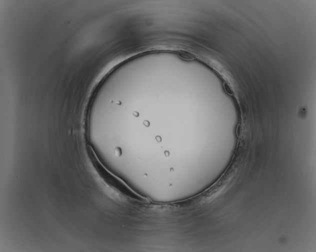 X0000094320803200711241806