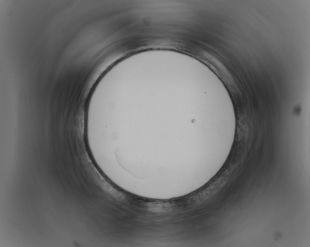 X0000094320804200711241806