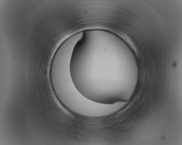 X0000094320805200711241806