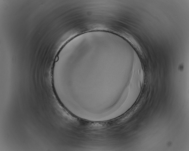 X0000094320806200711241806