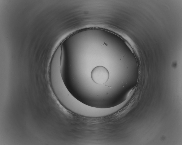 X0000094320807200711241806