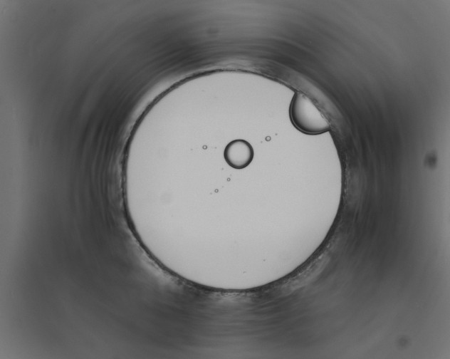 X0000094320808200711241806